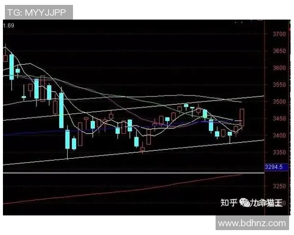 深圳篮球队与重庆篮球队赛后状态分析与复盘总结